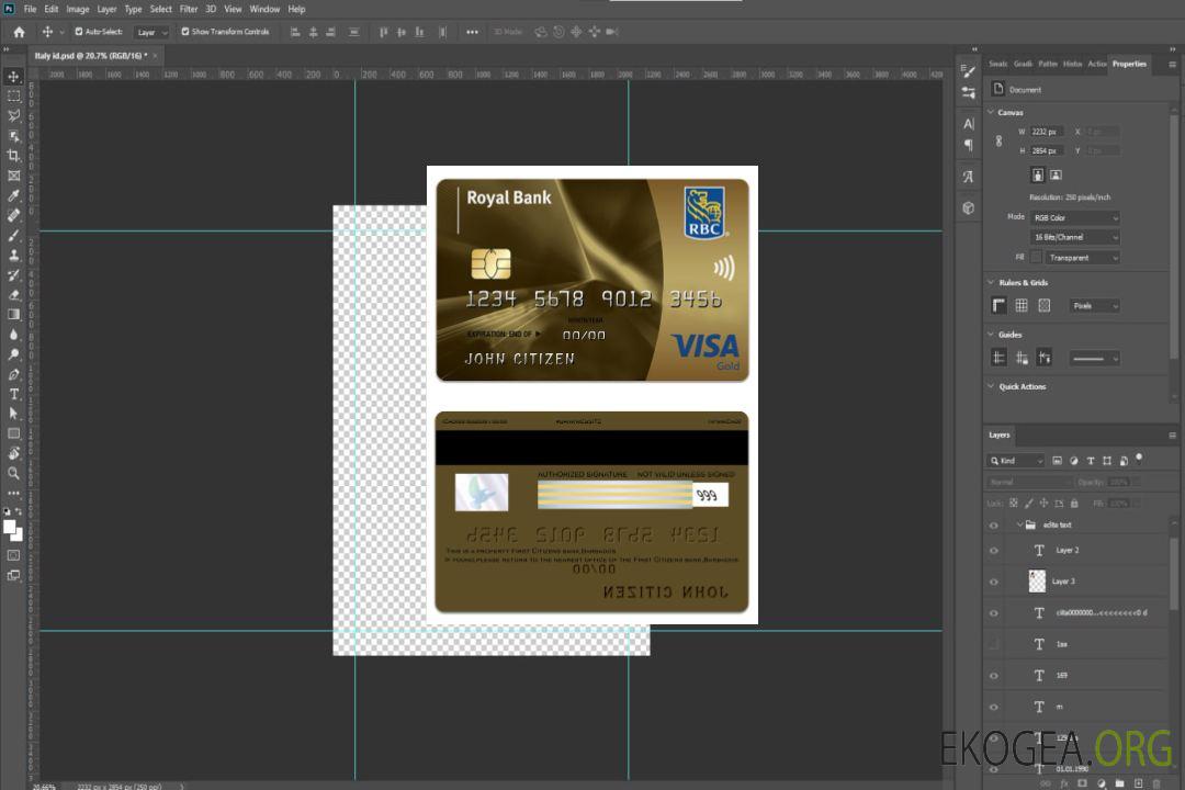 Visa Gold de la Banque Royale de Barbaros template